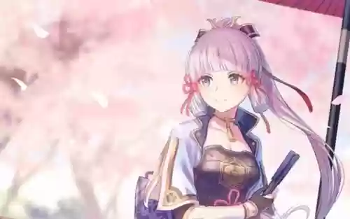 绫华阵容搭配前期(神里绫华推荐阵容)插图3