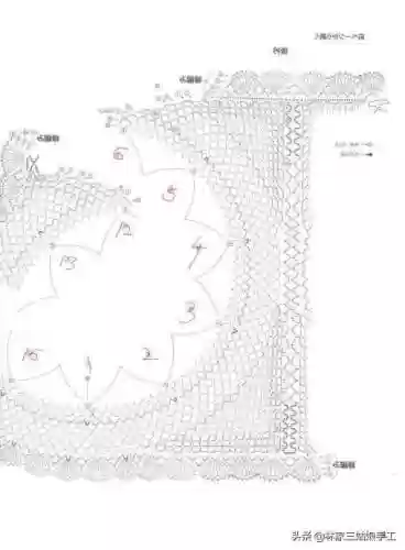 白菠萝怎么搭配阵容(罗莎莉亚主c搭配什么阵容)插图3