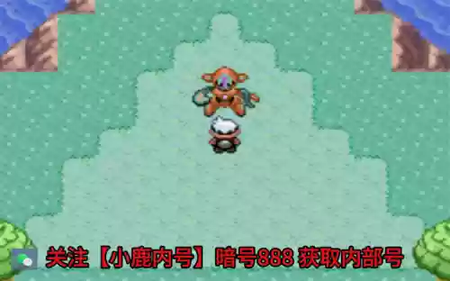 召唤流阵容搭配攻略(召唤走什么流派最厉害)插图1