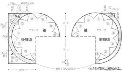 白菠萝怎么搭配阵容(罗莎莉亚主c搭配什么阵容)插图5