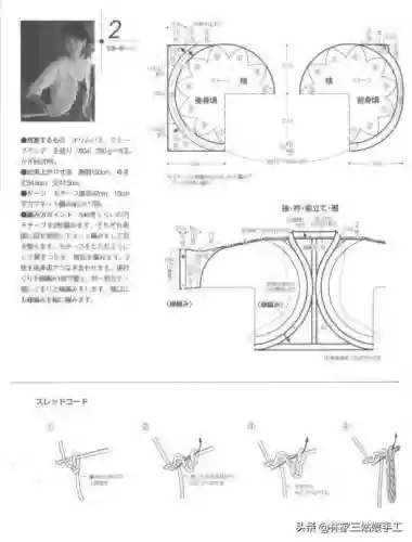 白菠萝怎么搭配阵容(罗莎莉亚主c搭配什么阵容)插图1