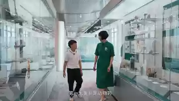 彼岸之声阵容搭配最新攻略(珊瑚宫心海最强阵容搭配)插图2