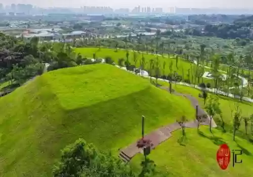 奇迹五王阵容搭配图片(奇迹mu三开职业搭配)插图3