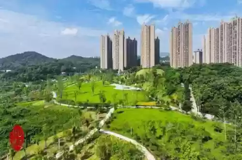 奇迹五王阵容搭配图片(奇迹mu三开职业搭配)插图1