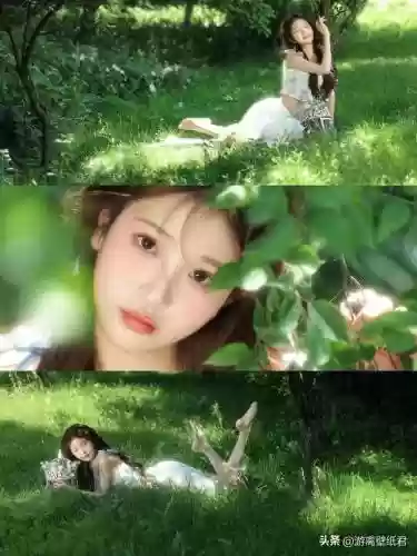 林中仙女阵容搭配图解大全(云顶之弈阵容搭配图表)插图1