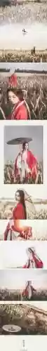 庄园魅影搭配阵容推荐图(绯色梦境最强阵容推荐)插图5