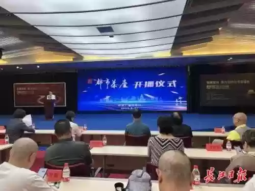 都市茶座阵容搭配图最新(商业都市平民玩家阵容搭配)插图2