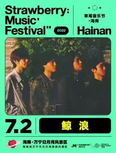 海口音乐节明星阵容名单(coachella音乐节)插图11