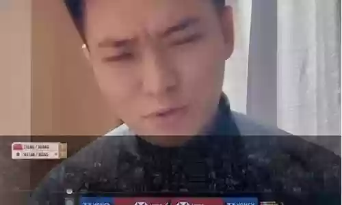 羽坛最强之战阵容搭配插图