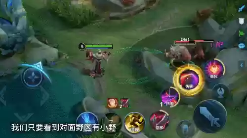稀有皮肤阵容(西洋棋皮肤最佳阵容)插图5