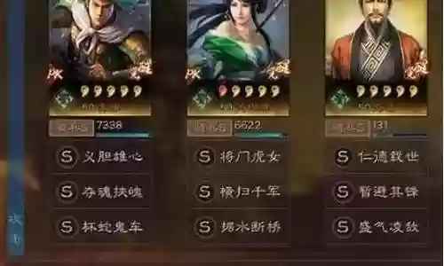 刘备姜维 阵容搭配战法插图