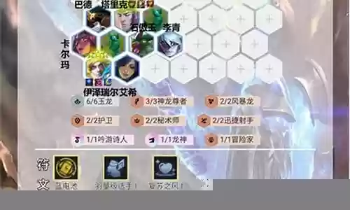 玉龙龙阵容搭配图插图