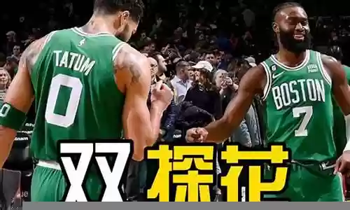 绿军替补阵容搭配表插图