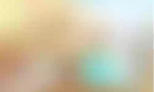 玩老虎的阵容搭配图插图