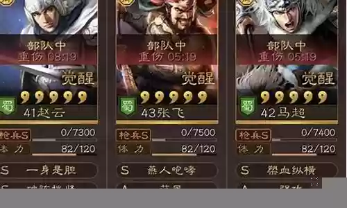 魂赵云阵容搭配插图