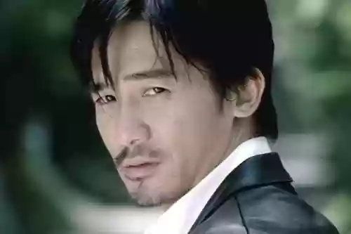 最强阵容陈慧琳(植物大战僵尸全明星最合适的阵容)插图1