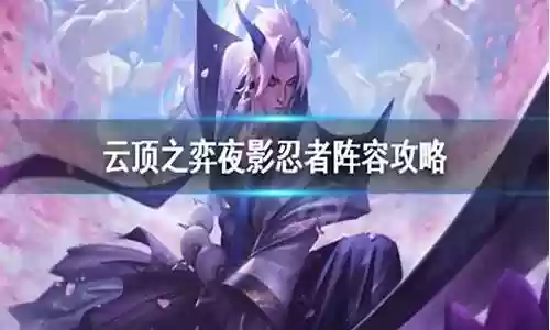 夜影忍者阵容搭配插图