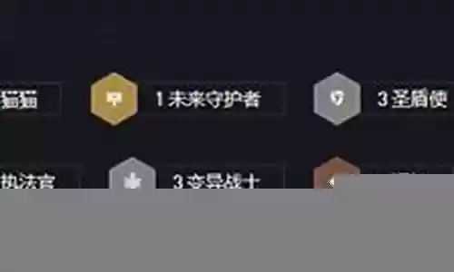 黄金圣盾阵容搭配插图