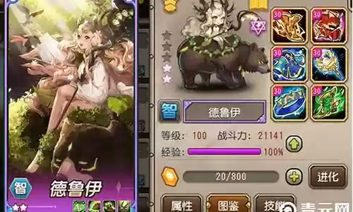 小冰冰德鲁伊阵容搭配插图