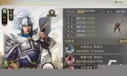 全民神将姜维阵容搭配插图