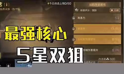 双狙最强搭配阵容插图