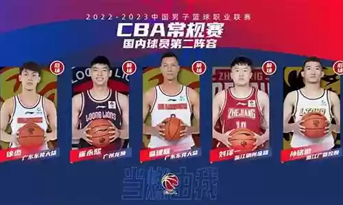 最佳阵容黑屏插图
