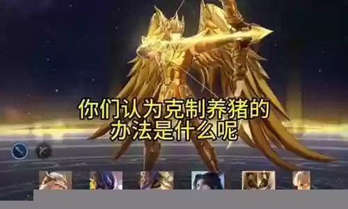 后羿养猪阵容插图