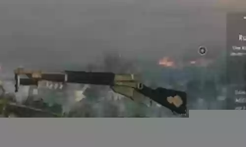 战地黄金武器插图