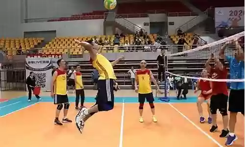 排球的阵容配备插图