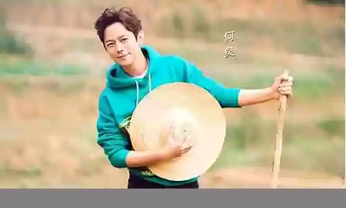 向往的生活2阵容搭配插图