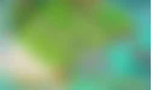 海岛奇兵4英雄技能升级攻略插图