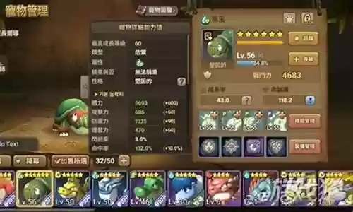石器时代起源阵容插图