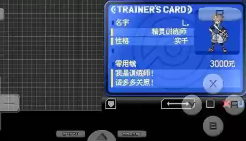 口袋妖怪黑1中文版攻略视频插图1