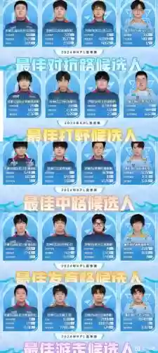 职业kpl阵容插图
