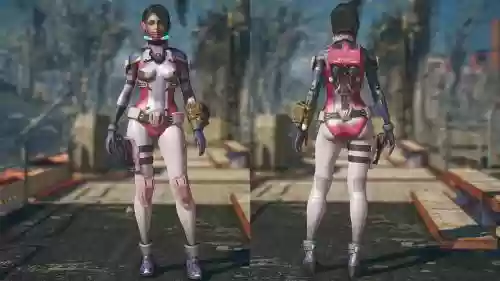 辐射4带武器背包插图1