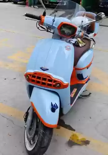 龙嘉阵容插图