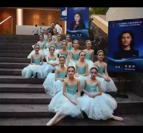 完美舞蹈阵容插图1