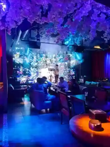 酒吧最强阵容搭配插图
