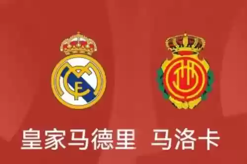 给马阵容_1插图1