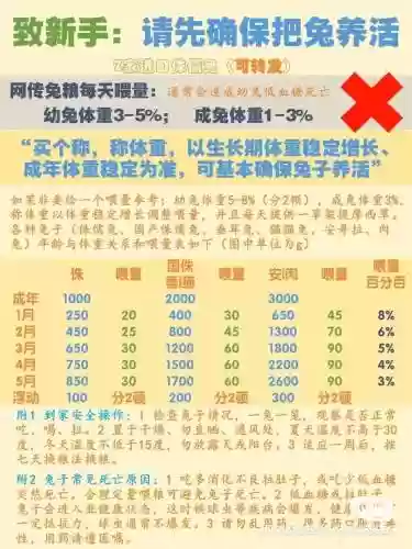 找侏儒的攻略插图1