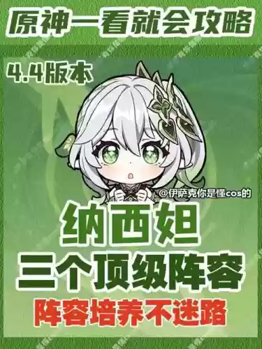 纳西达阵容插图1
