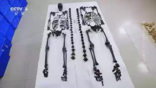 考古学家的装备插图1