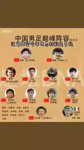 什么的阵容插图1