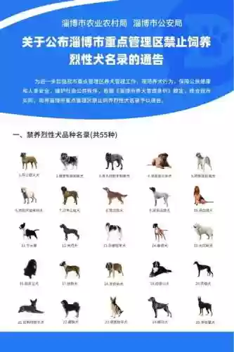猎犬阵容搭配攻略插图