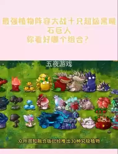 植物阵容对战插图