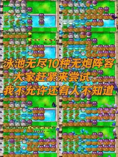 植物大战僵尸自由搭配阵容插图