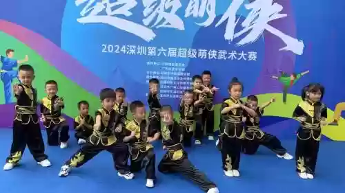 武术阵容图片插图