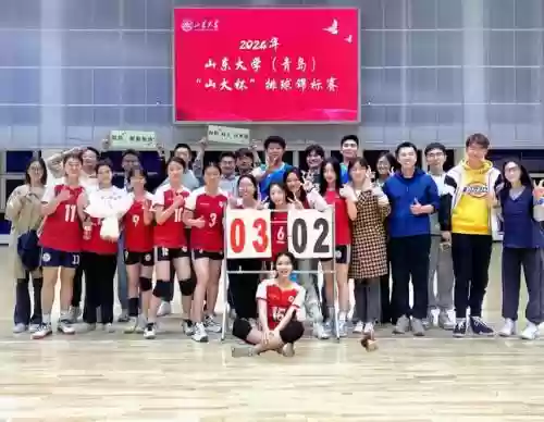 山大夺冠阵容插图