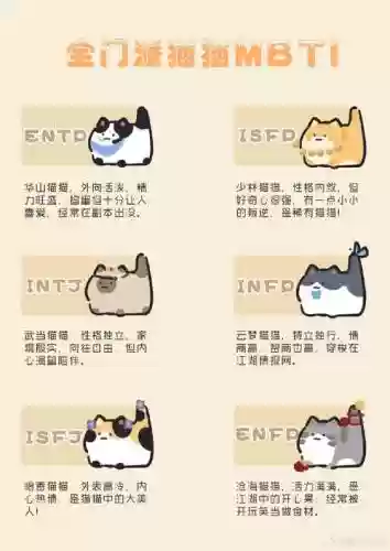 全民猫阵容_1插图