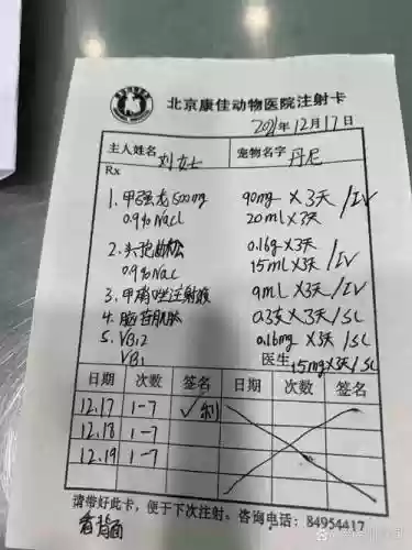 最强输液阵容插图